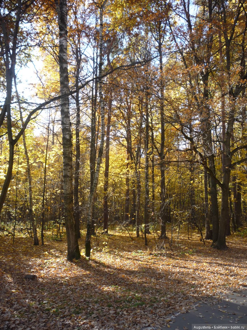 Октябрьский Подснежник — Фотоистории с куклами BJD (БЖД): сериалы