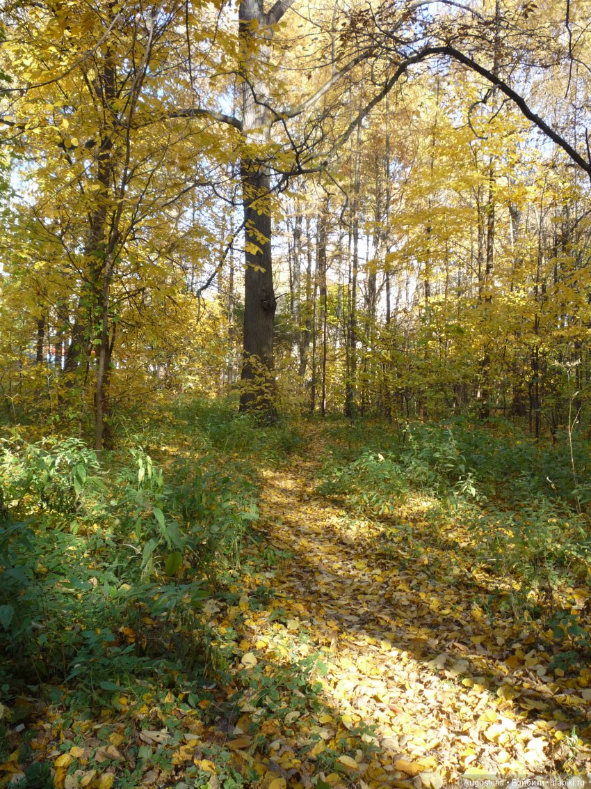 Октябрьский Подснежник — Фотоистории с куклами BJD (БЖД): сериалы