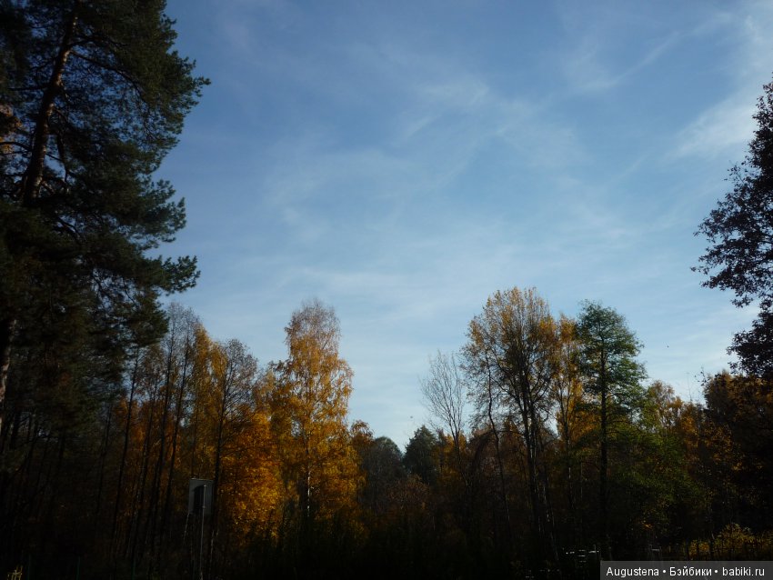 Октябрьский Подснежник — Фотоистории с куклами BJD (БЖД): сериалы