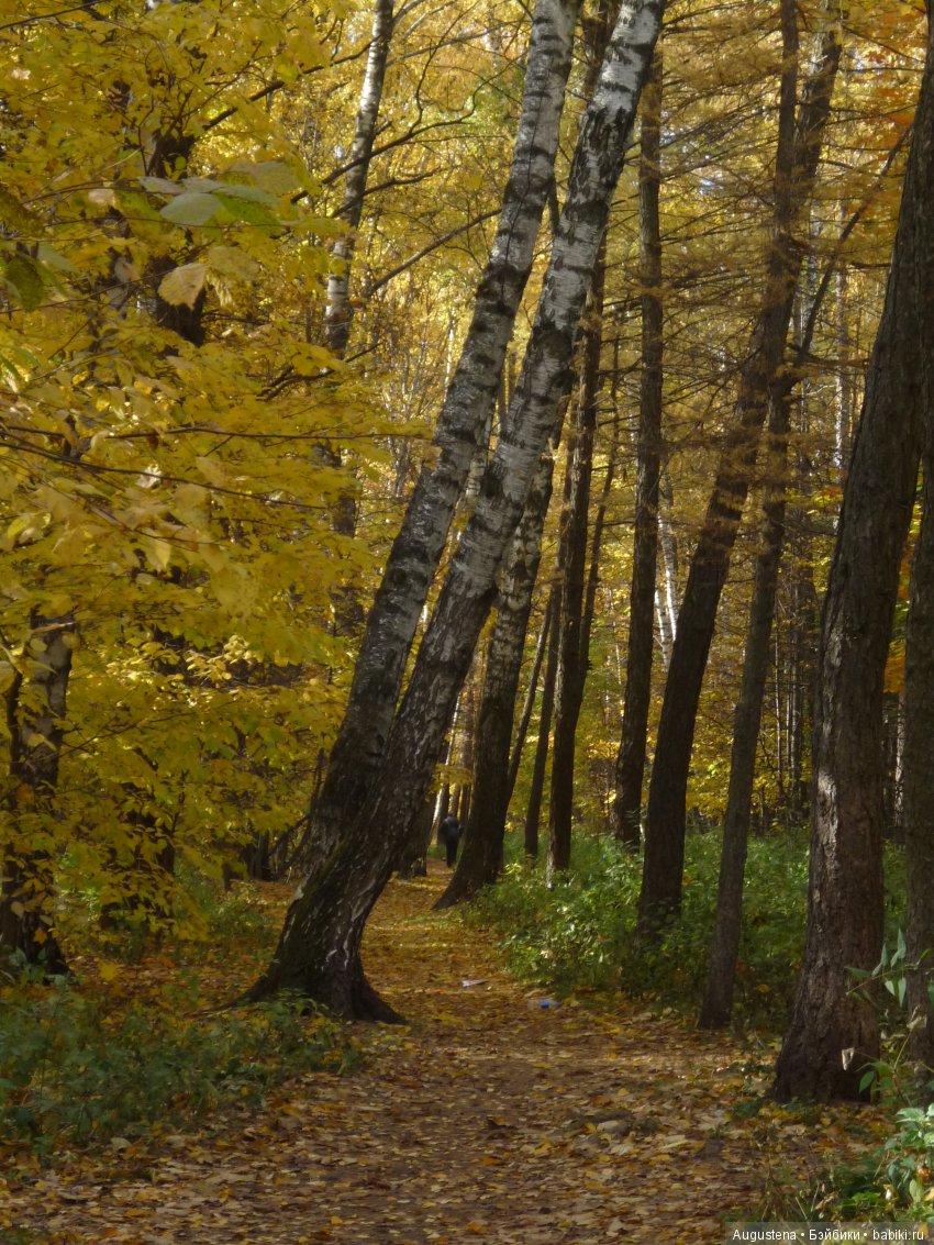 Октябрьский Подснежник — Фотоистории с куклами BJD (БЖД): сериалы