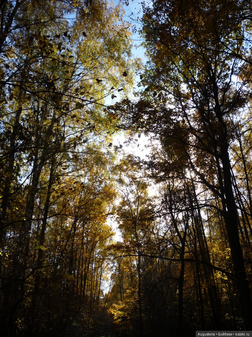 Октябрьский Подснежник — Фотоистории с куклами BJD (БЖД): сериалы (фото 4)