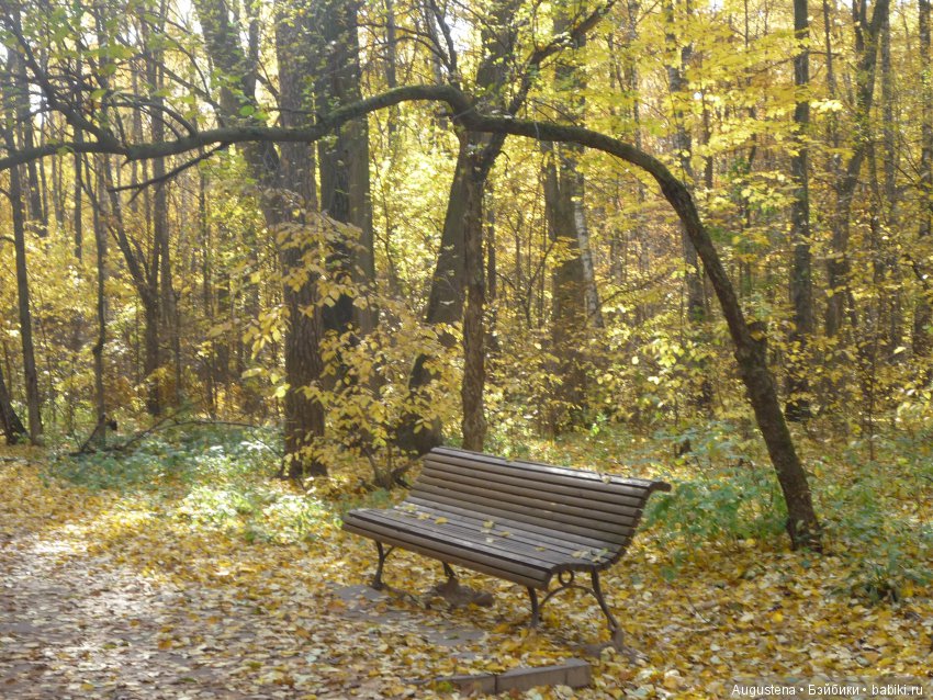 Октябрьский Подснежник — Фотоистории с куклами BJD (БЖД): сериалы (фото 3)