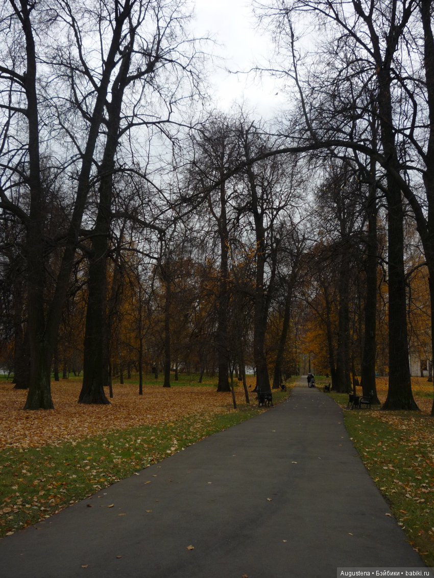 Эпизод 1 — Болталка и разговоры обо всем: жизнь