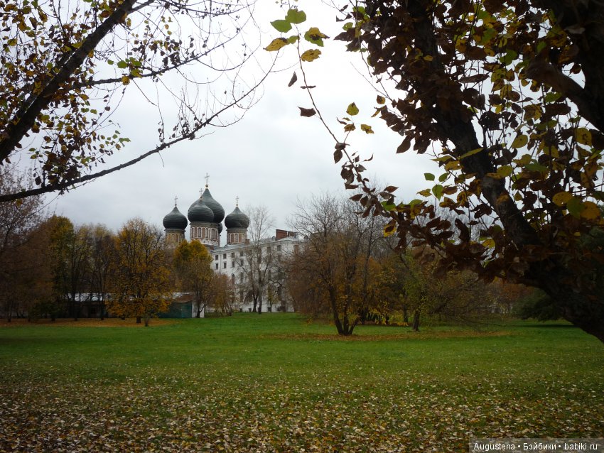 Эпизод 1 — Болталка и разговоры обо всем: жизнь