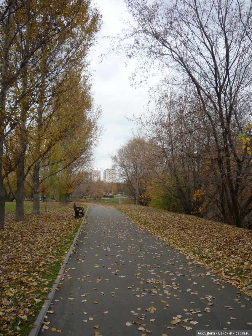 Эпизод 1 — Болталка и разговоры обо всем: жизнь