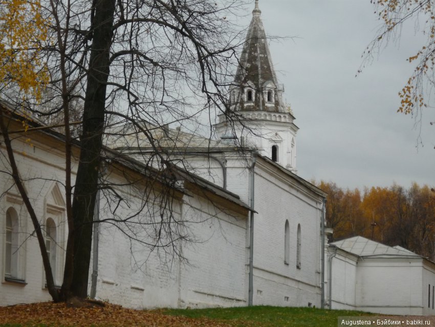 Эпизод 1 — Болталка и разговоры обо всем: жизнь