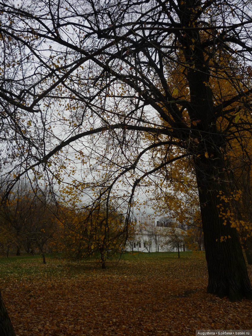 Эпизод 1 — Болталка и разговоры обо всем: жизнь