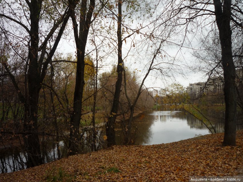 Эпизод 1 — Болталка и разговоры обо всем: жизнь