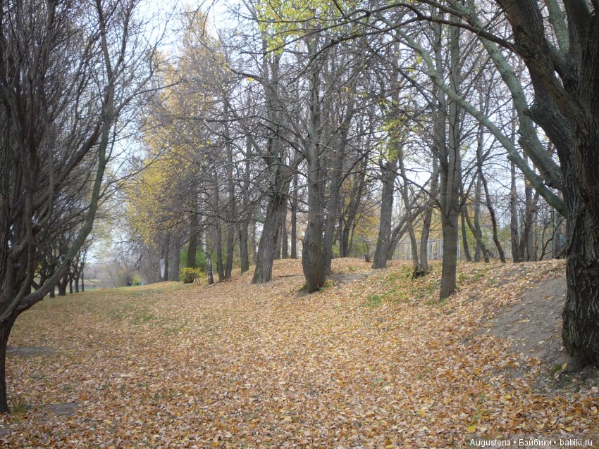 Эпизод 1 — Болталка и разговоры обо всем: жизнь