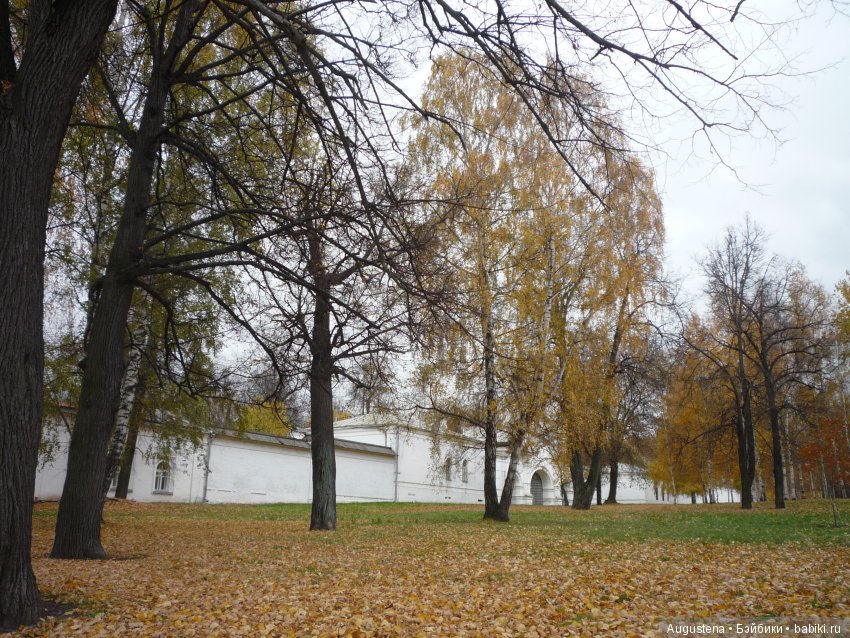 Эпизод 1 — Болталка и разговоры обо всем: жизнь