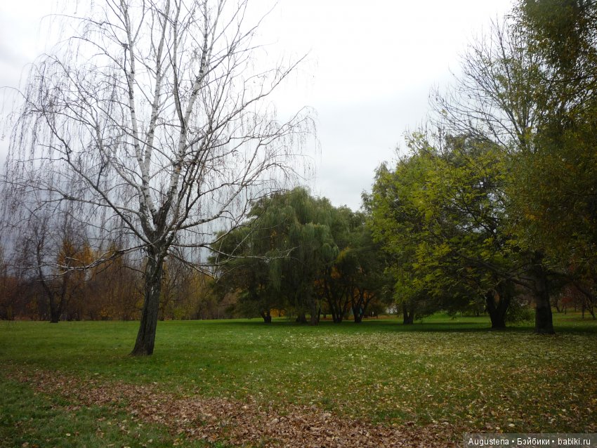 Эпизод 1 — Болталка и разговоры обо всем: жизнь