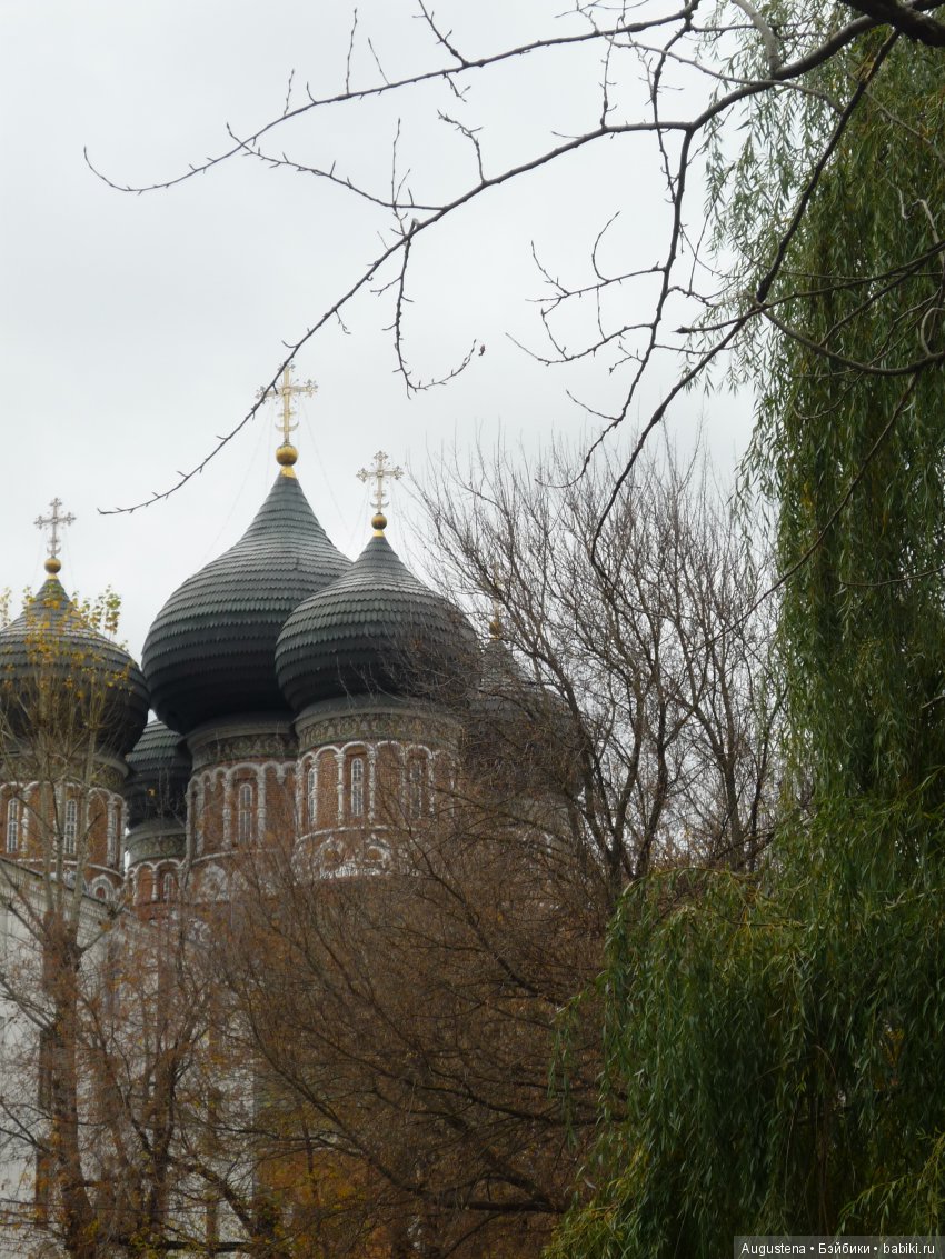 Эпизод 1 — Болталка и разговоры обо всем: жизнь (фото 4)