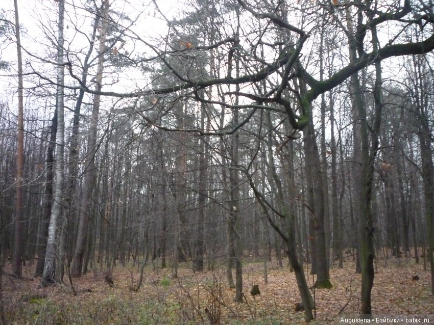 Но, Слава Богу, есть друзья! И у друзей есть... куклы