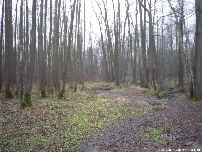 Но, Слава Богу, есть друзья! И у друзей есть... куклы