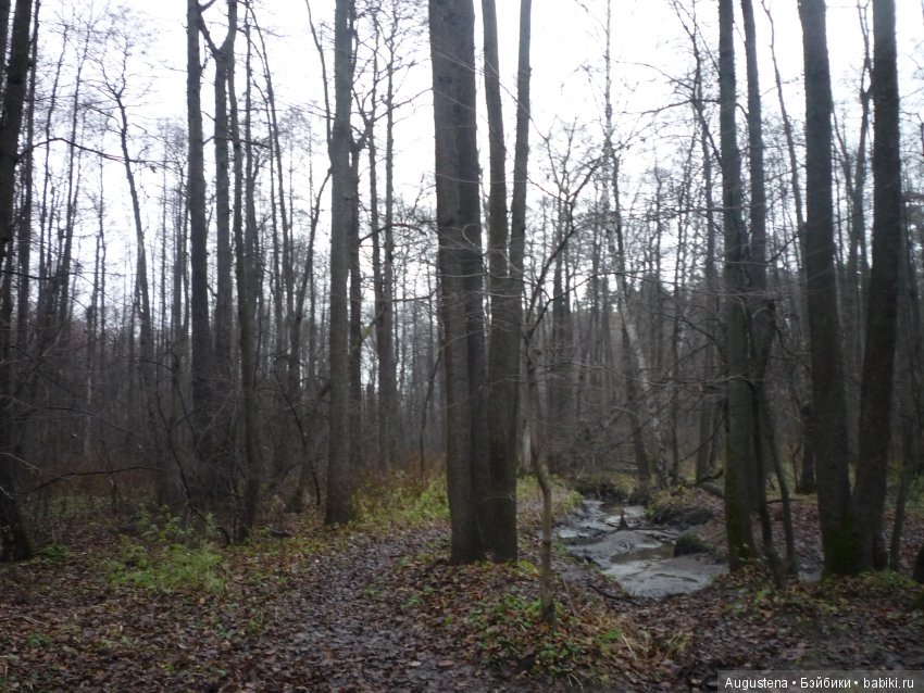 Но, Слава Богу, есть друзья! И у друзей есть... куклы (фото 10)