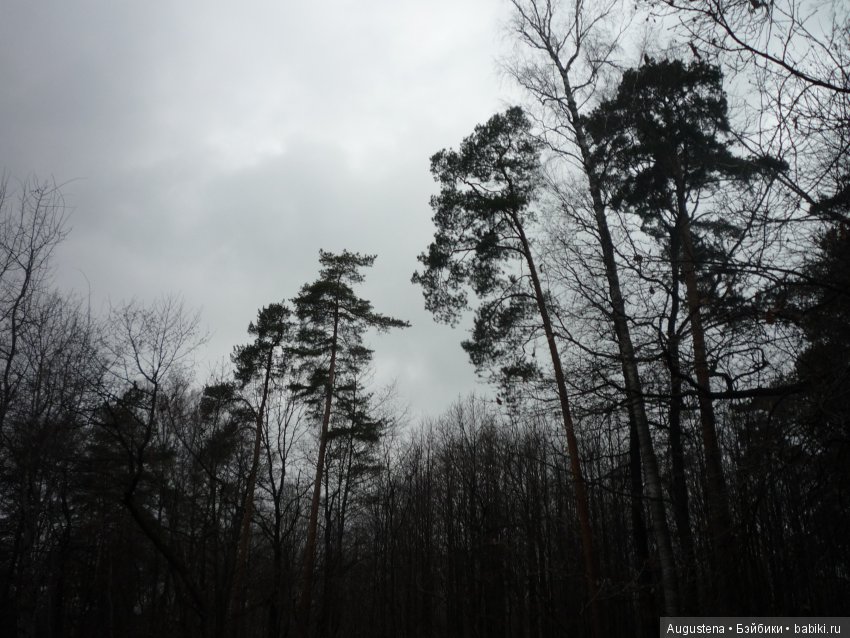 Но, Слава Богу, есть друзья! И у друзей есть... куклы