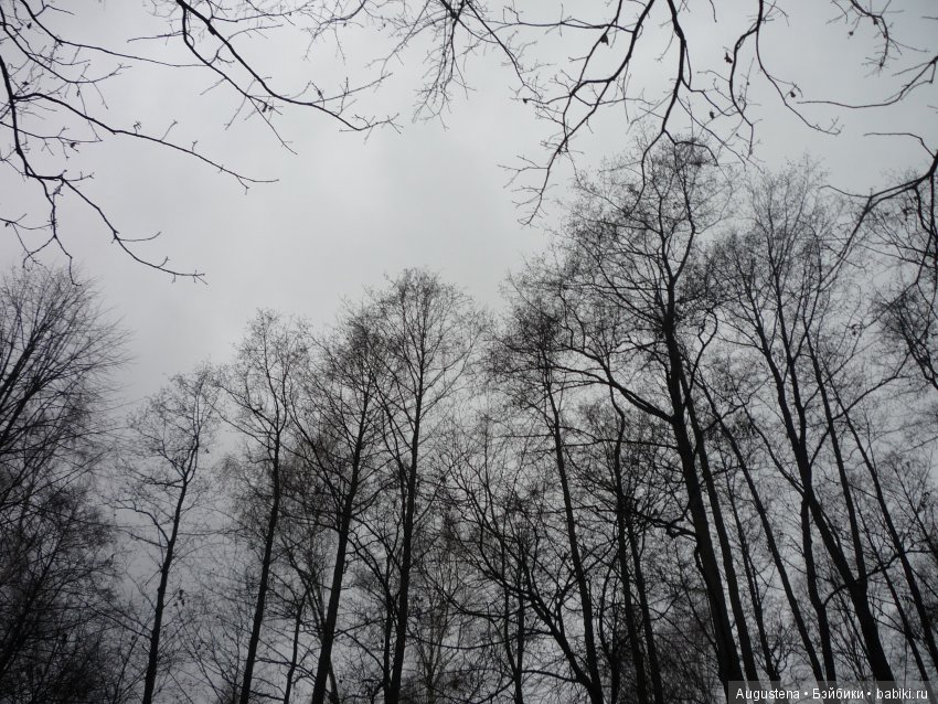 Но, Слава Богу, есть друзья! И у друзей есть... куклы (фото 8)