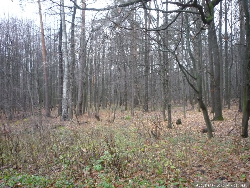 Но, Слава Богу, есть друзья! И у друзей есть... куклы