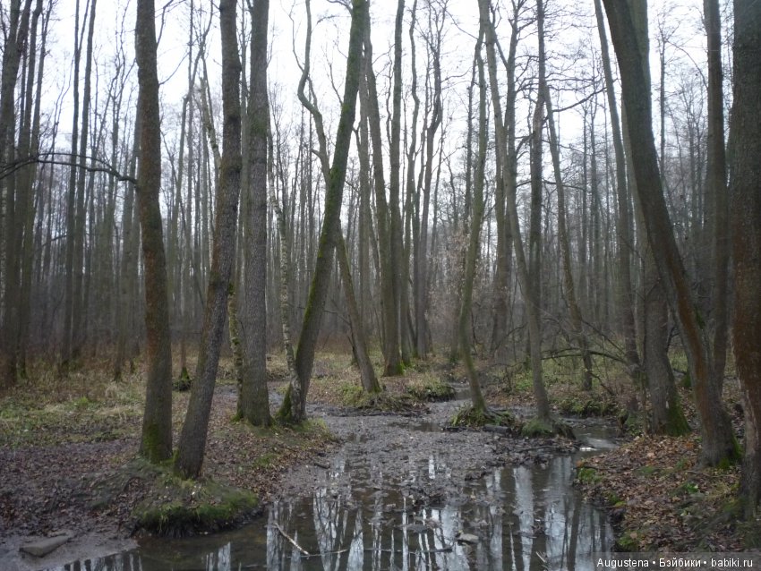 Но, Слава Богу, есть друзья! И у друзей есть... куклы (фото 9)