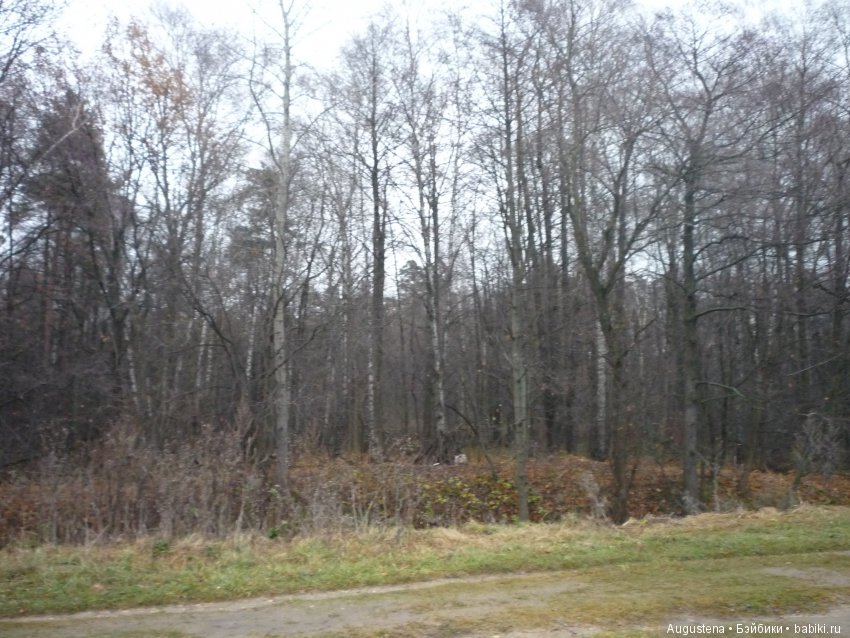 Но, Слава Богу, есть друзья! И у друзей есть... куклы