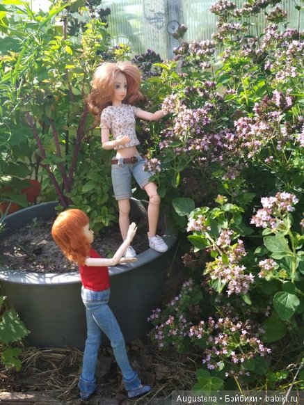 Такие разные Харуки — Куклы и тела Obitsu (Обитсу): 1/6 (фото 10)