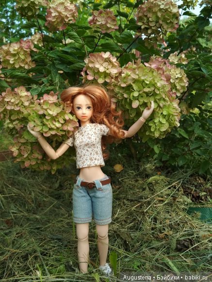 Такие разные Харуки — Куклы и тела Obitsu (Обитсу): 1/6 (фото 3)