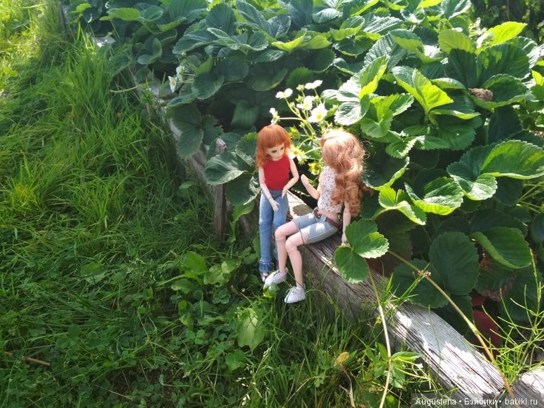 Такие разные Харуки — Куклы и тела Obitsu (Обитсу): 1/6