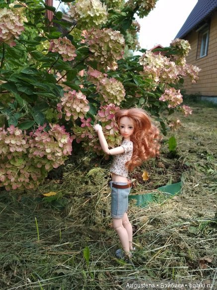 Такие разные Харуки — Куклы и тела Obitsu (Обитсу): 1/6 (фото 8)