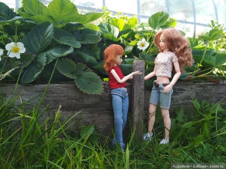 Такие разные Харуки — Куклы и тела Obitsu (Обитсу): 1/6