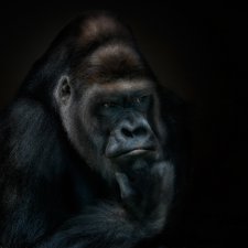 А её мне надо?...