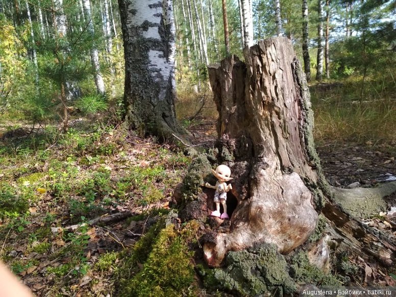 Лето, дача, куклы! Вот оно, счастье (фото 3)