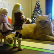 Вот и погостили