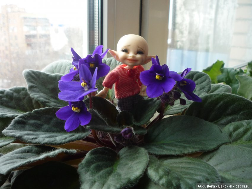 Дорогие дамы, принимайте поздравление от моих мужчин (фото 5)