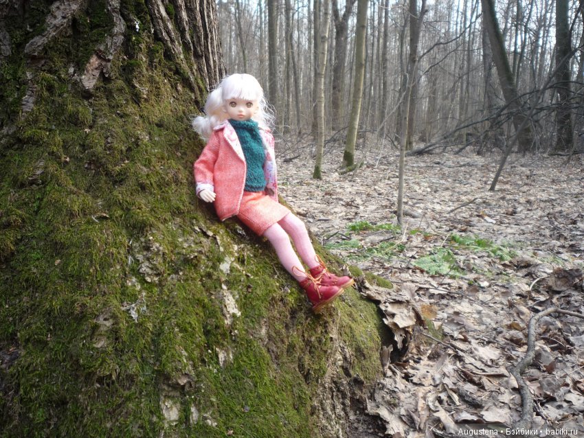 Рори на первой весенней прогулке (фото 3)