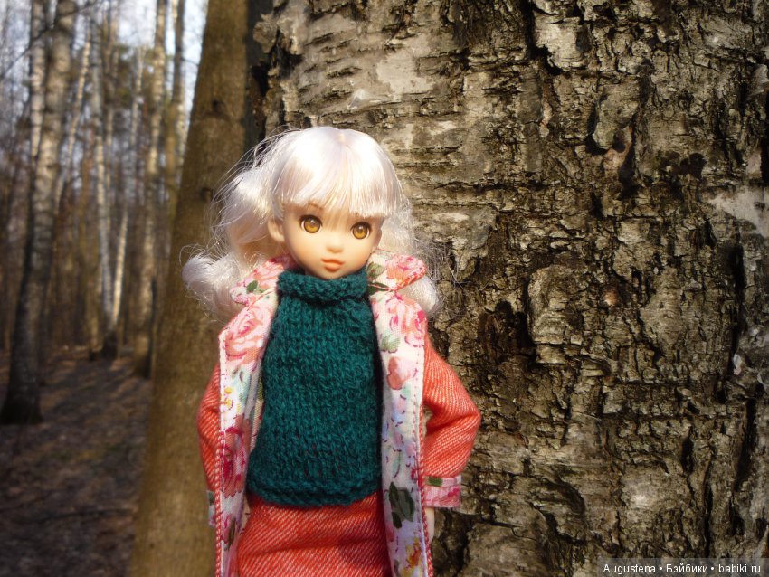 Рори на первой весенней прогулке (фото 10)