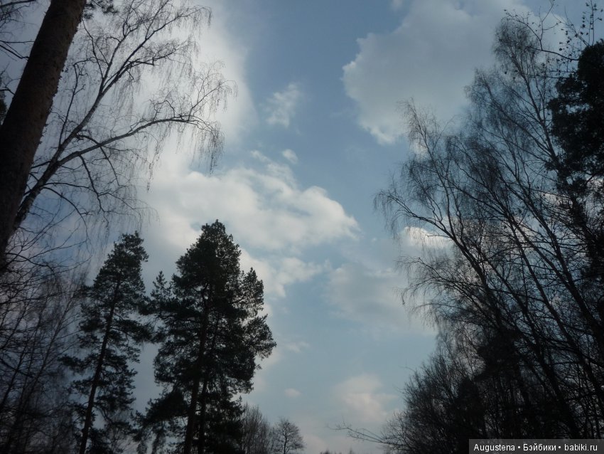Рори на первой весенней прогулке