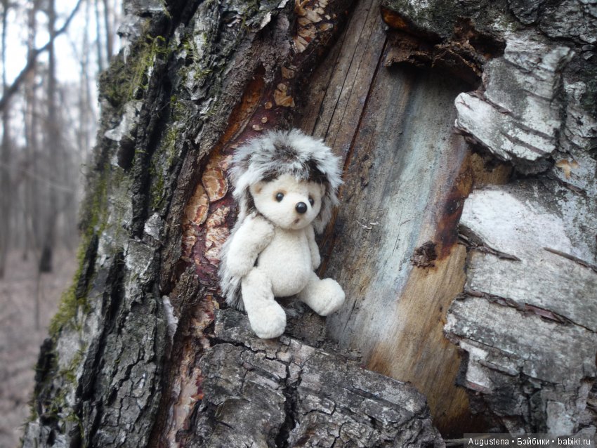 Рори на первой весенней прогулке