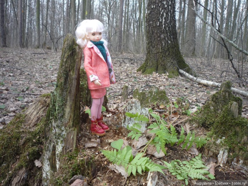 Рори на первой весенней прогулке (фото 7)