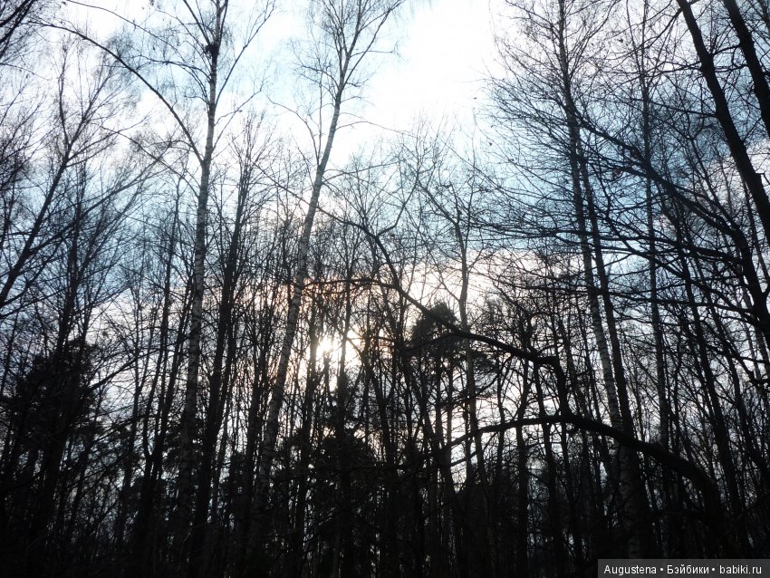 Рори на первой весенней прогулке