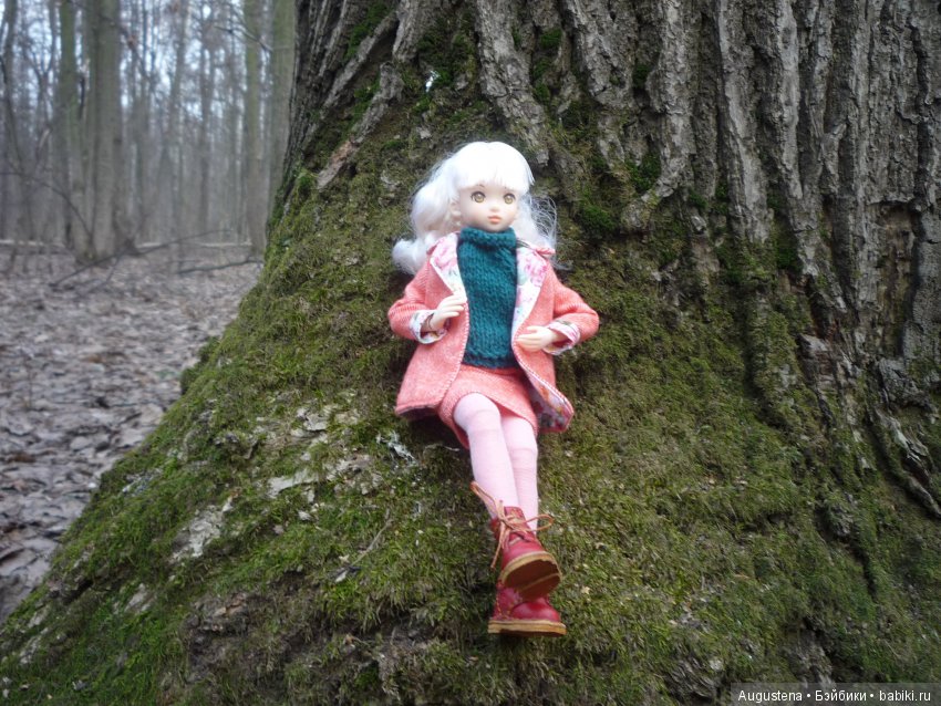 Рори на первой весенней прогулке (фото 4)