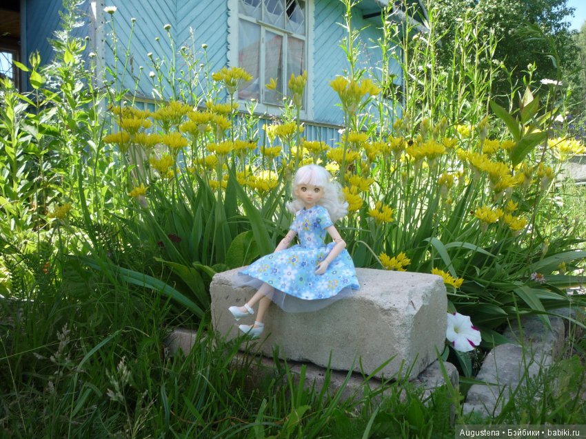 Дачницы. Аврора — Болталка и разговоры обо всем: жизнь (фото 3)