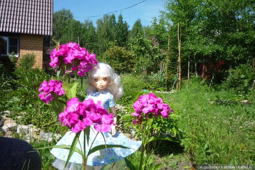 Дачницы. Аврора — Болталка и разговоры обо всем: жизнь (фото 4)