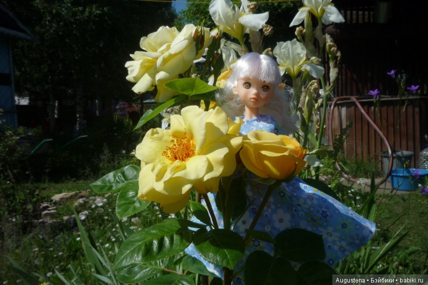 Дачницы. Аврора — Болталка и разговоры обо всем: жизнь (фото 9)