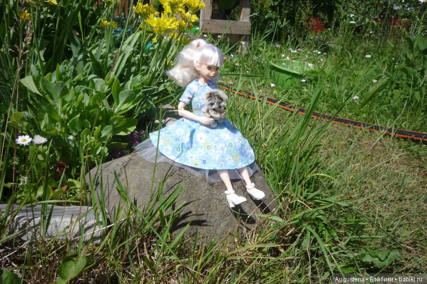 Дачницы. Аврора — Болталка и разговоры обо всем: жизнь (фото 7)