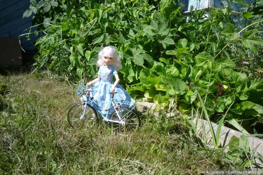 Дачницы. Аврора — Болталка и разговоры обо всем: жизнь