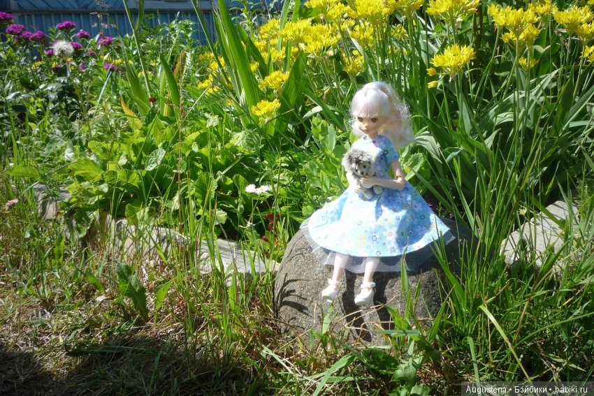 Дачницы. Аврора — Болталка и разговоры обо всем: жизнь (фото 6)