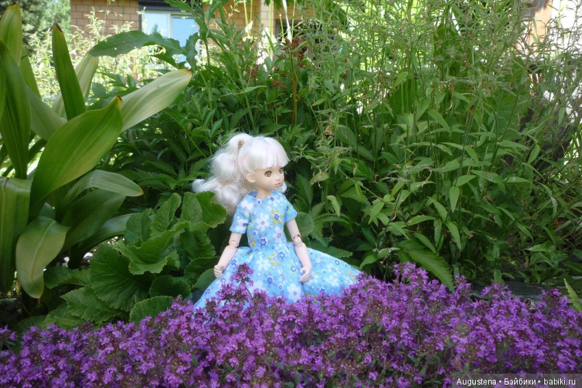 Дачницы. Аврора — Болталка и разговоры обо всем: жизнь