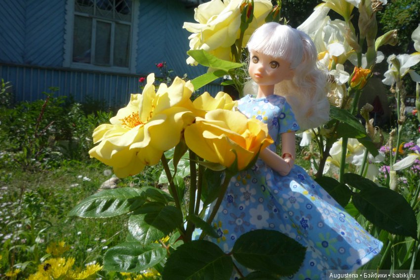 Дачницы. Аврора — Болталка и разговоры обо всем: жизнь (фото 10)