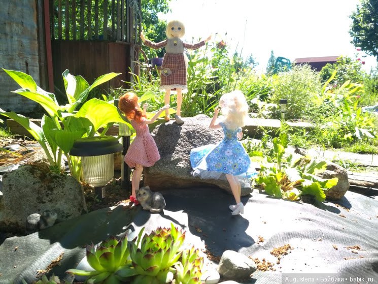 Дачницы — Болталка и разговоры обо всем: жизнь (фото 4)