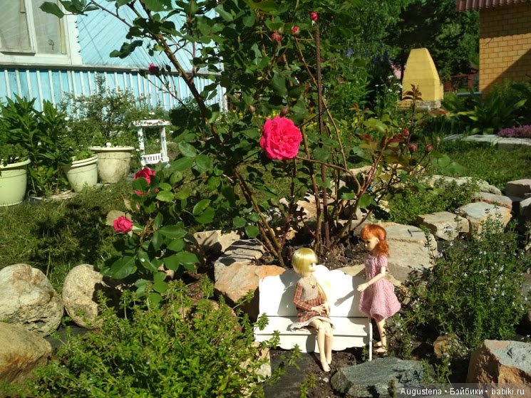 Дачницы — Болталка и разговоры обо всем: жизнь